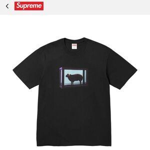 Supreme / Damien Hirst Tee “Black”